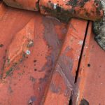 Collage tuiles Maisons-Laffitte 78600