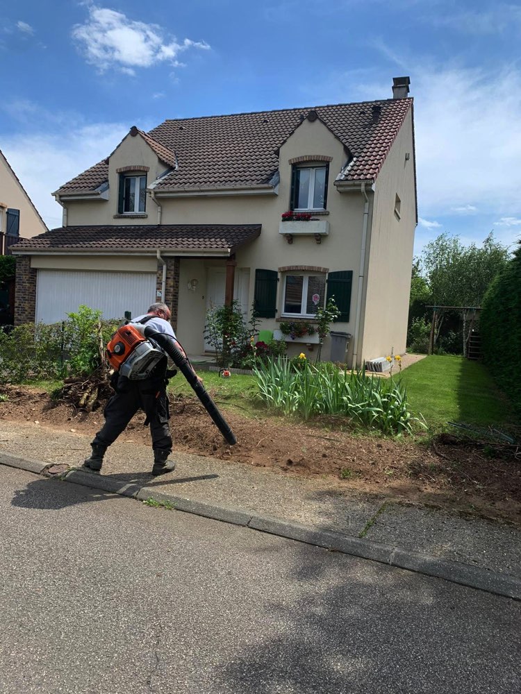 Enlèvement de haie Vernouillet 78540