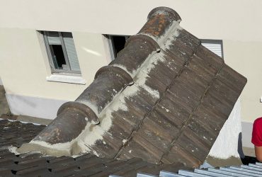 cimentation solin chien assis 78