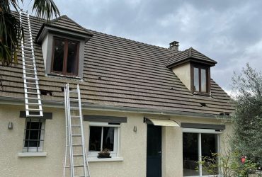 renovation chien assis maule