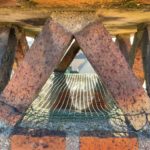 Installation grillage anti-oiseaux Herblay-sur-Seine 95220