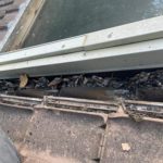 Nettoyage velux toiture Limay 78520