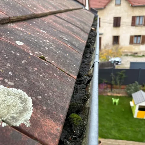 demoussage villennes sur seine 78 2