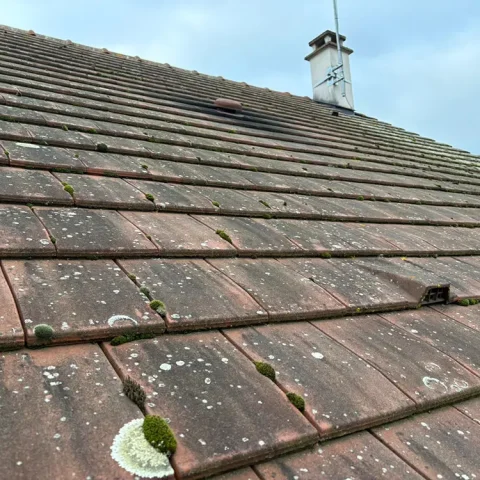 demoussage villennes sur seine 78 3