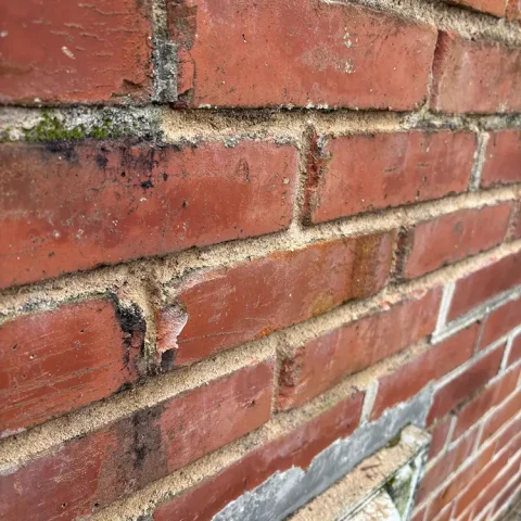rejointoiement mur le vesinet 78