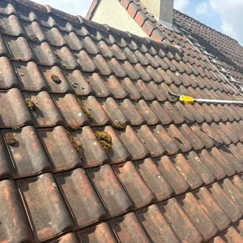 brossage anti mousse vaux sur seine