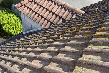 brossage mousse toiture argenteuil