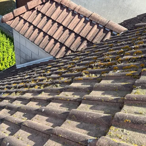 brossage mousse toiture argenteuil