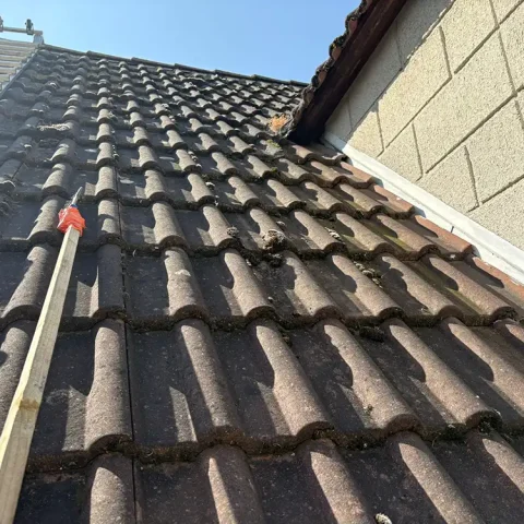 brossage mousse toiture argenteuil 95