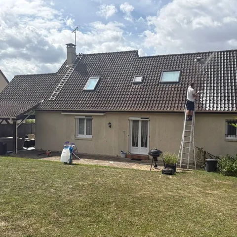 demoussage vaux sur seine